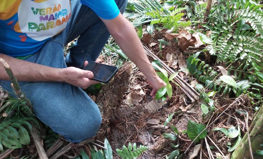 Foto de voluntários plantando mudas
