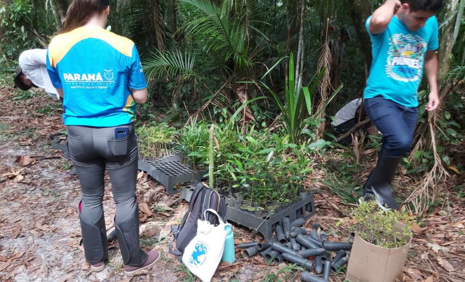 Foto de voluntários plantando mudas