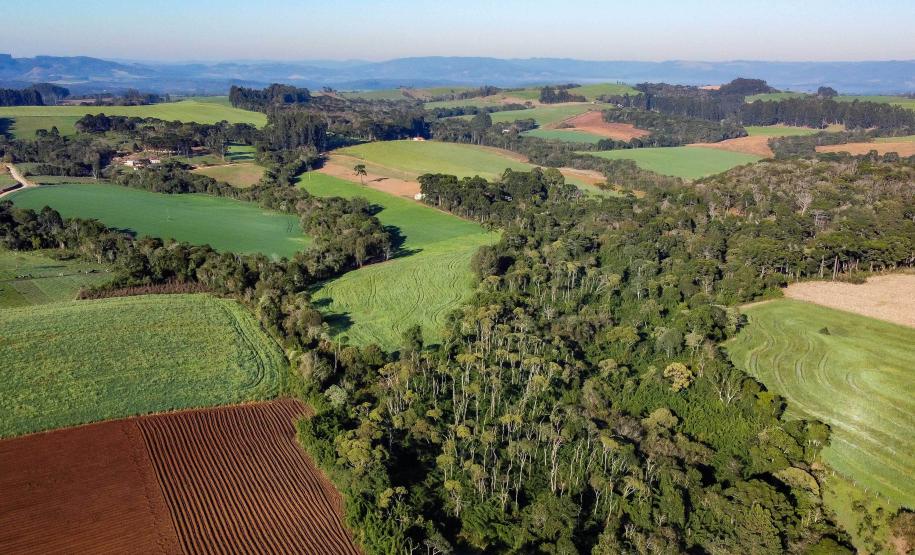 foto aérea de propriedades agrícola ao lado de árvores