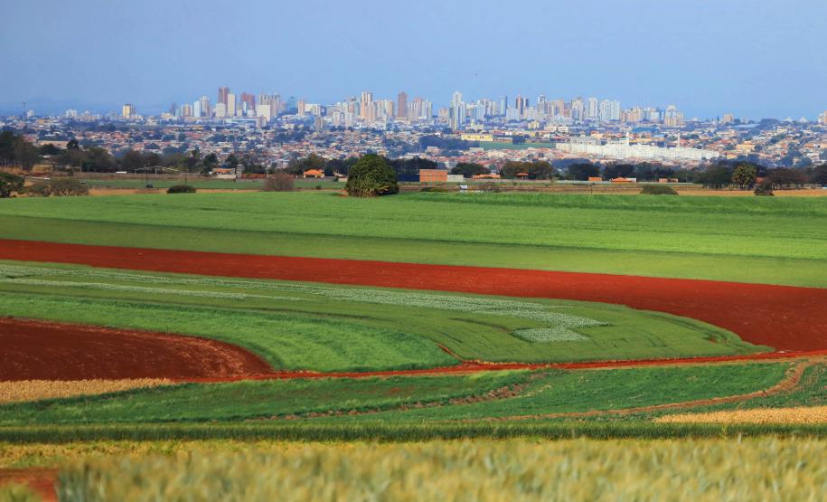foto aérea de propriedades agrícola ao lado de árvores