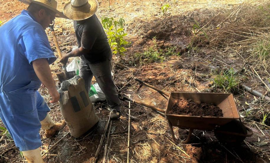 AGENTES DO IAT TRABALHANDO NO SOLO