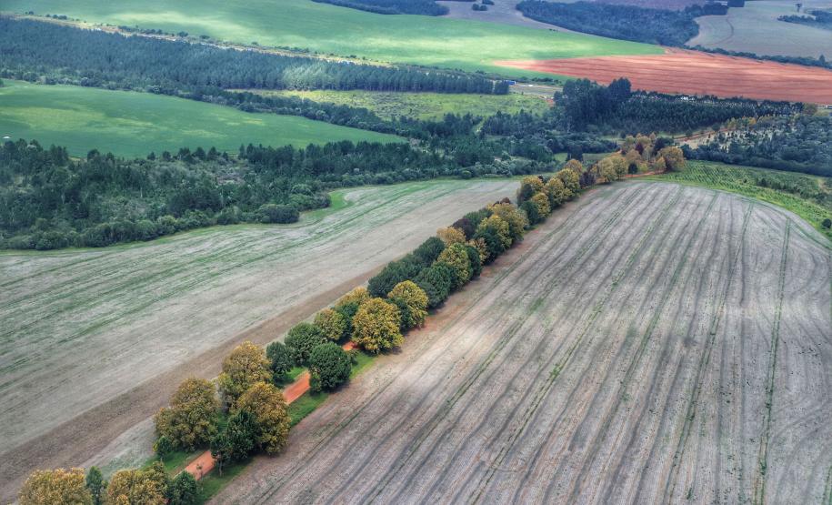 foto aérea de propriedades agrícola ao lado de árvores