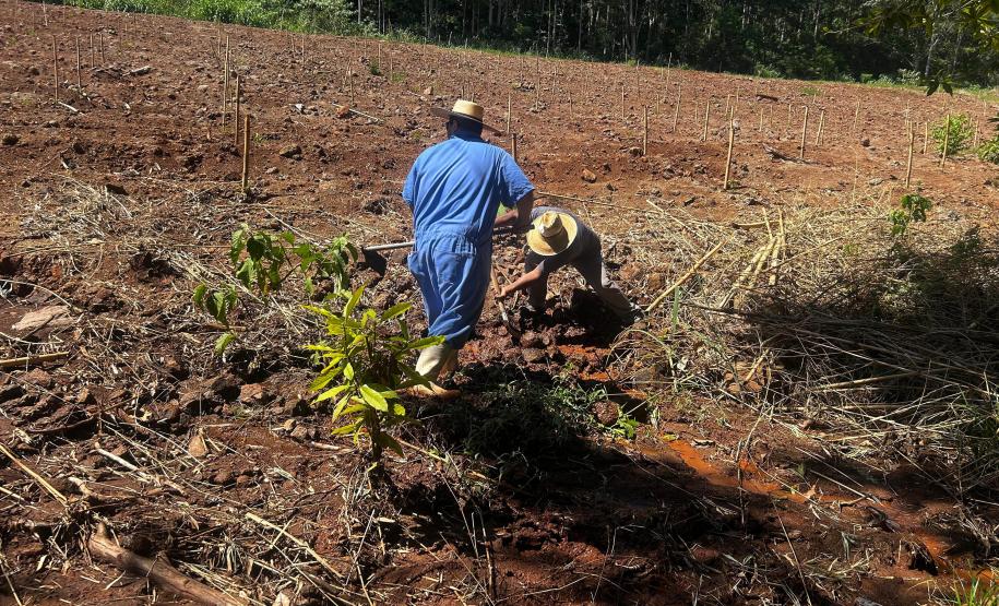 Semana da Água: IAT promove ações de conservação e conscientização ambiental