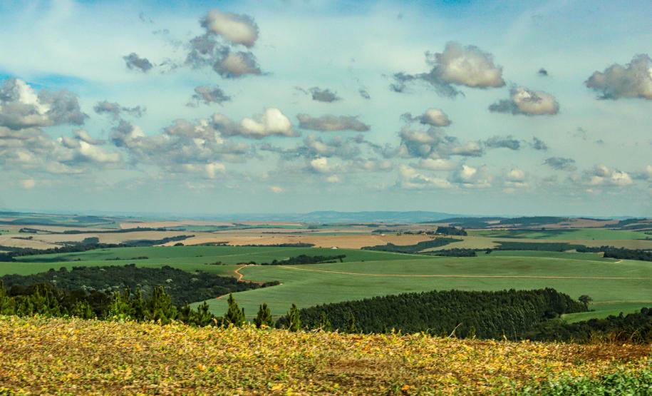 foto aérea de propriedades agrícola