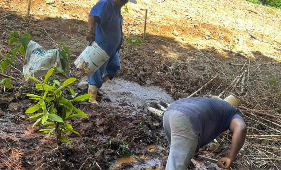 Semana da Água: IAT promove ações de conservação e conscientização ambiental