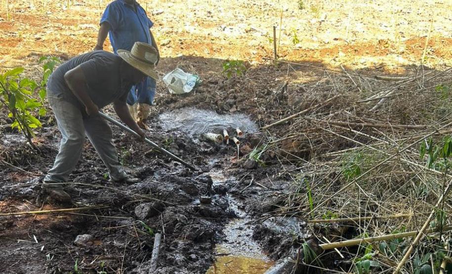 Semana da Água: IAT promove ações de conservação e conscientização ambiental