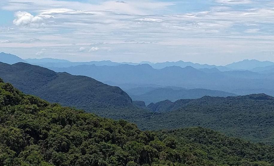 Vista aérea da vastidão verde da rppn