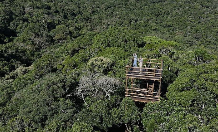 Foto aérea da vastidão verde da RPPN