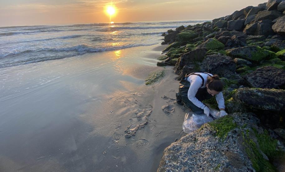 Foto de técnicos colhendo amostras de fauna incrustante