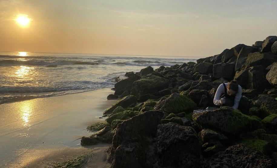 Foto de técnicos colhendo amostras de fauna incrustante
