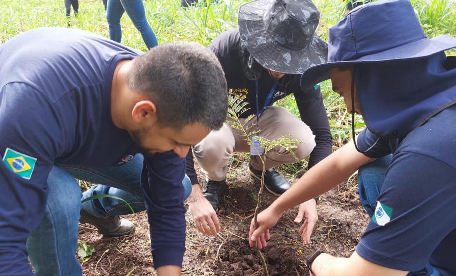 Conservação: no Dia da Água, Estado restaura 16 nascentes de 11 municípios