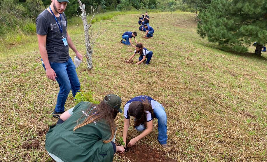 Conservação: no Dia da Água, Estado restaura 16 nascentes de 11 municípios