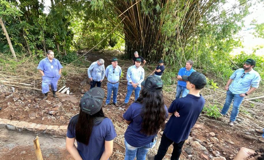 Conservação: no Dia da Água, Estado restaura 16 nascentes de 11 municípios