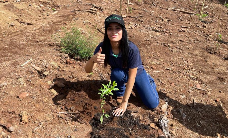 Conservação: no Dia da Água, Estado restaura 16 nascentes de 11 municípios