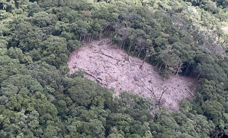 Técnicos do IAT atenderam a 130 denúncias de crimes ambientais durante o Verão Maior Paraná