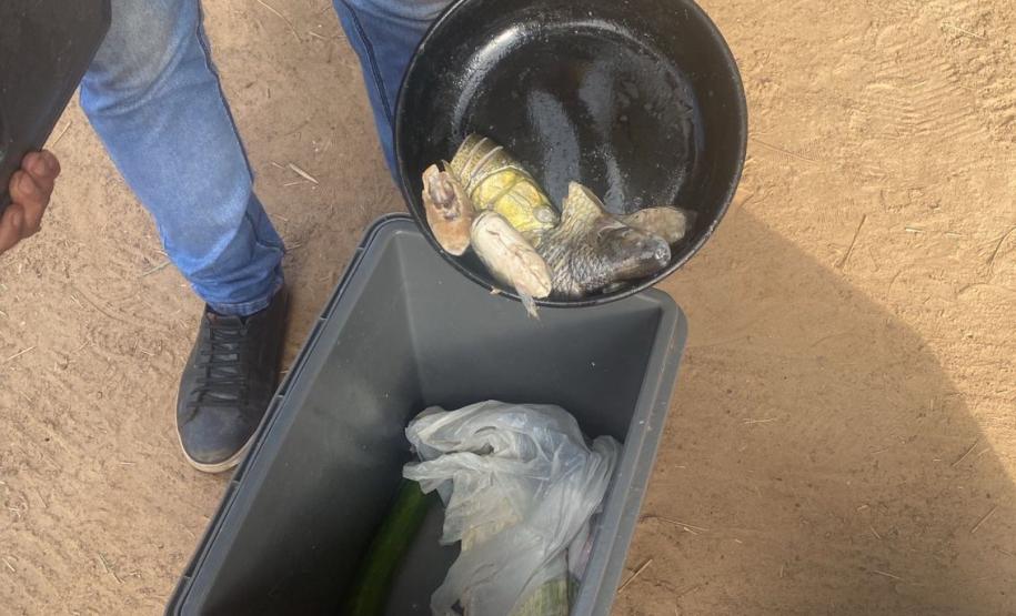 Foto de agentes com peixe apreendido