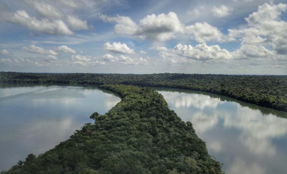 VEGETAÇÃO E RIO DO PARANÁ