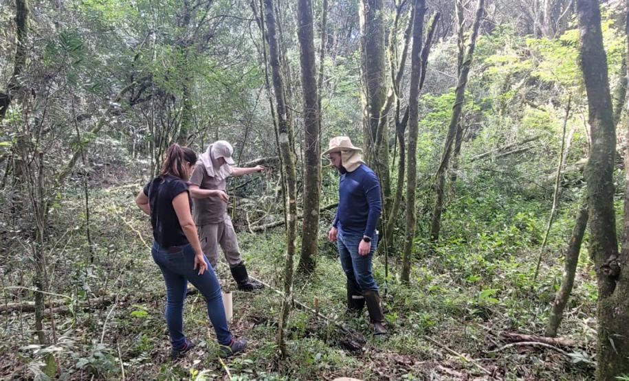 SERVIDORES E MAÇÃO EM MEIO À MATA