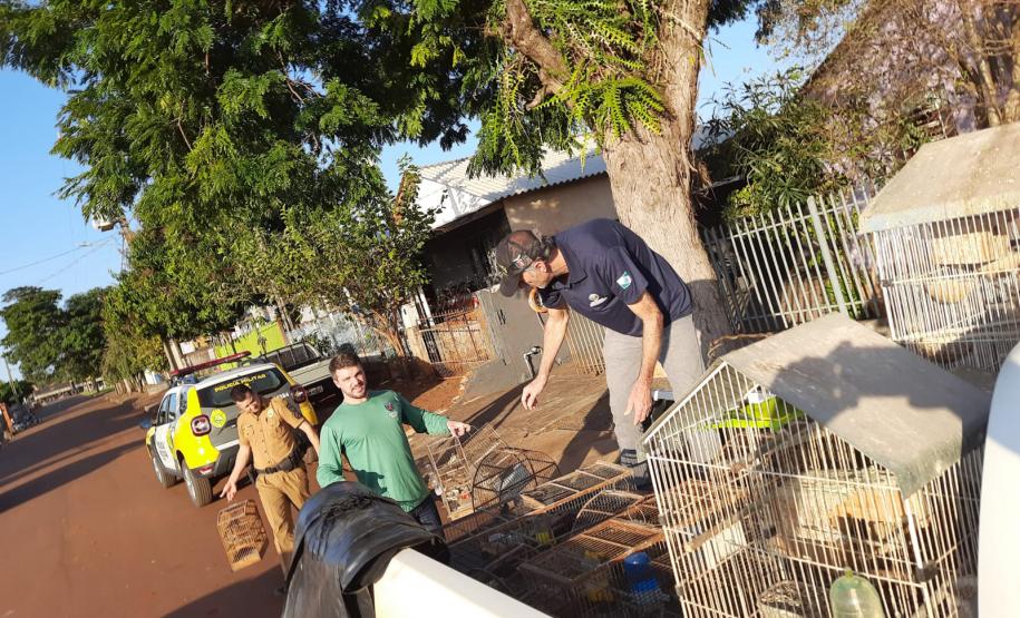 FISCAIS EM EXERCÍCIO