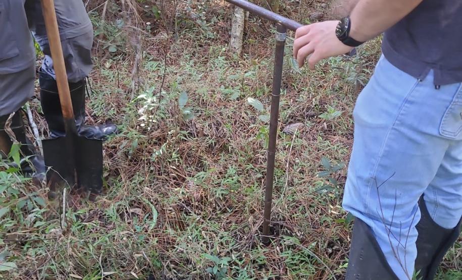 SERVIDORES E MAÇÃO EM MEIO À MATA