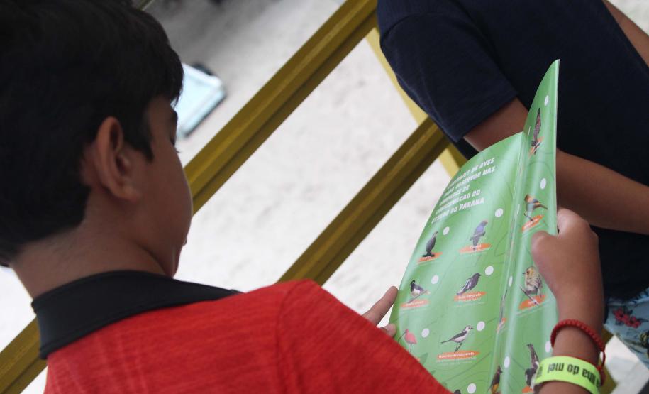 Menino folhando folder