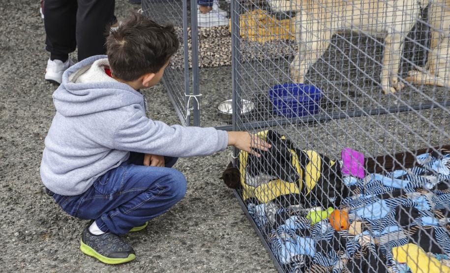 CRIANÇA ACARICIANDO CACHORRO PRESO DENTRO DE UMA JAULA