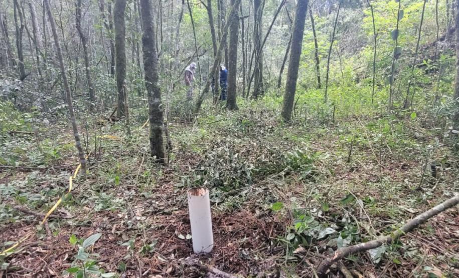 VEGETAÇÃO EM EVIDÊNCIA