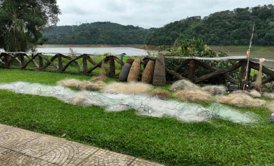 Operação do IAT aplica R$ 1,2 milhão em multas por crimes ambientais