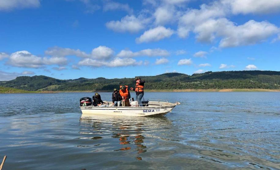 Operação do IAT aplica R$ 1,2 milhão em multas por crimes ambientais