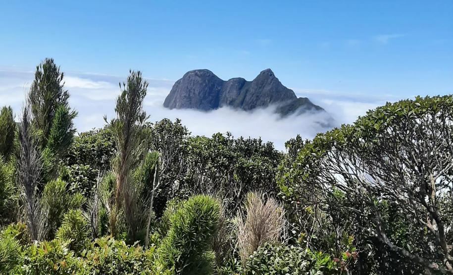 Foto aérea de montanha
