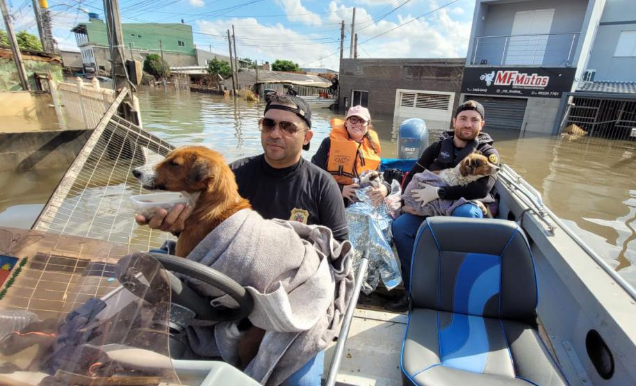VOLUNTÁRIOS EM AÇÃO