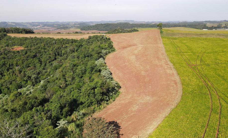 VISTA AÉREA DE VEGETAÇÃO