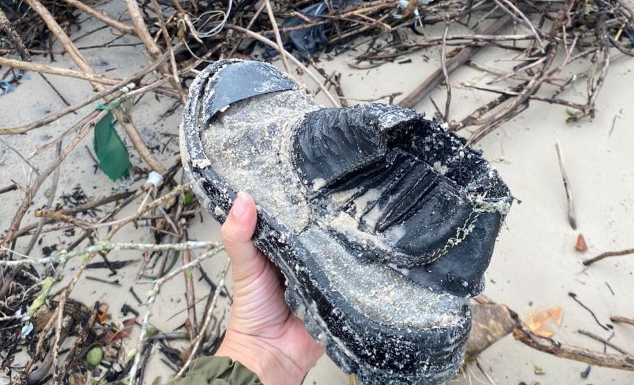 BOTA SENDO RECOLHIDA