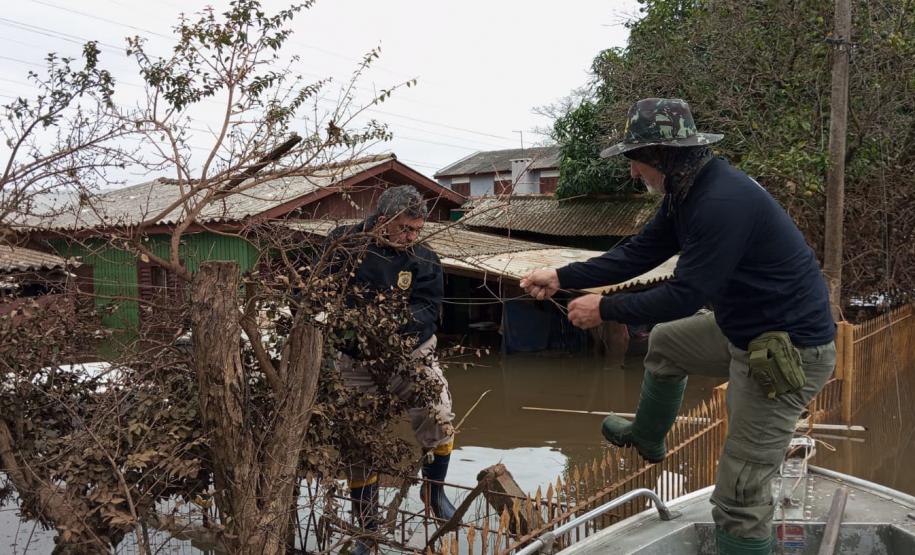 VOLUNTÁRIO EM AÇÃO