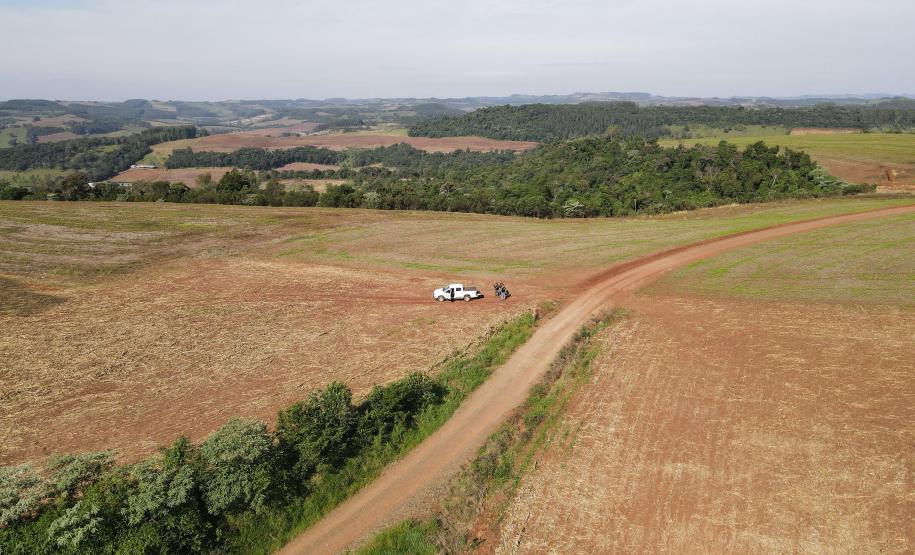 VISTA AÉREA DE VEGETAÇÃO