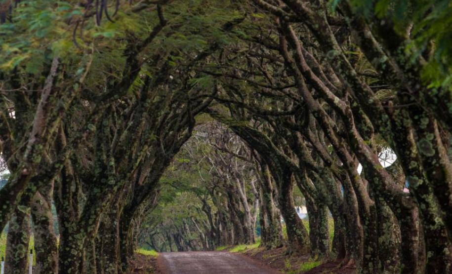 PARQUE ESTADUAL DO IAT