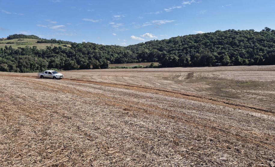 VEGETAÇÃO COM VISTA AÉREA