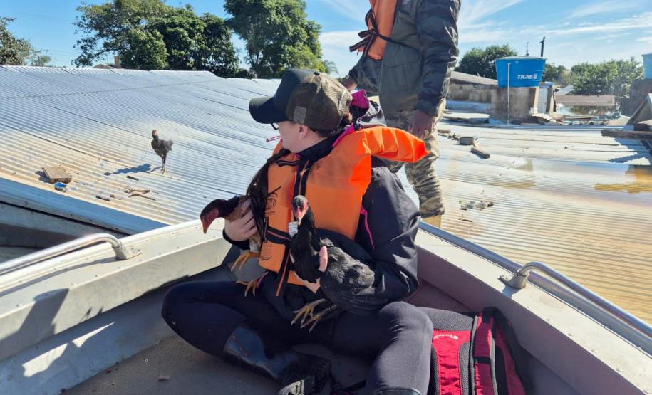 servidores voluntários em ação