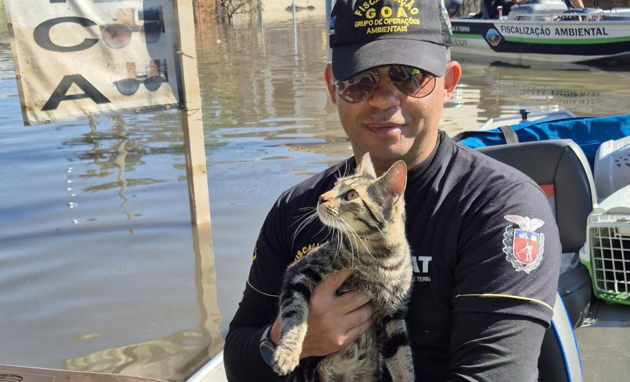 VOLUNTÁRIO EM AÇÃO