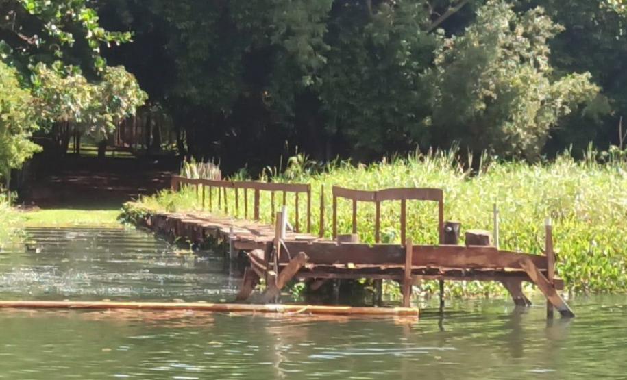 PONTE DE MADEIRA FRENTE A VEGETAÇÃO