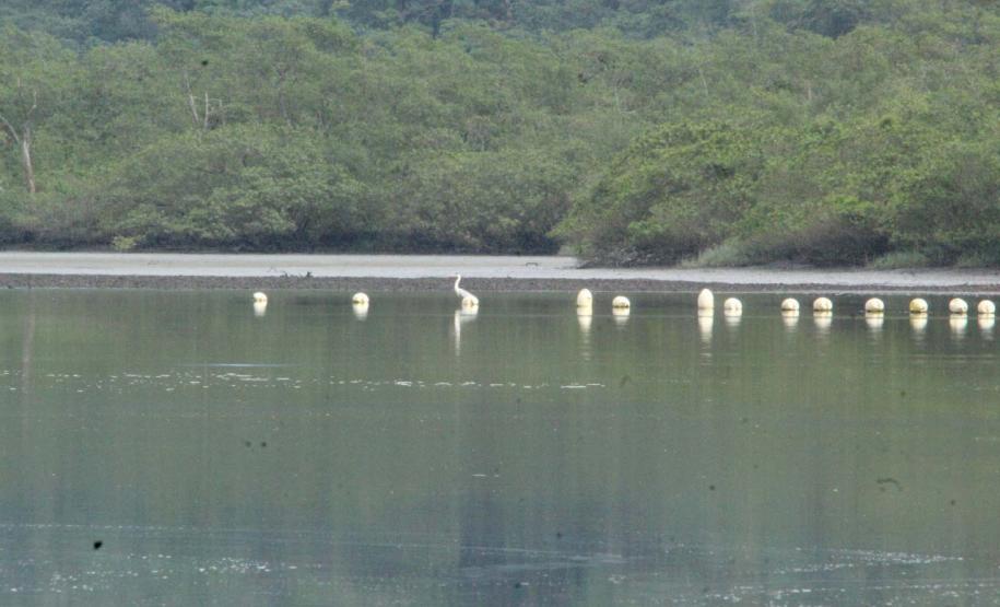 PAISAGEM