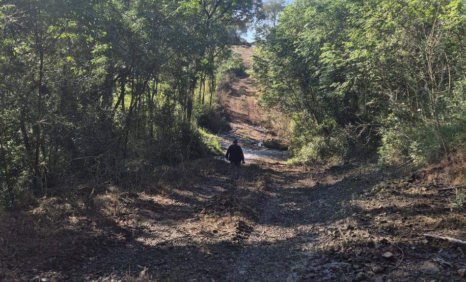 ESTRADA DE TERRA COM UM SERVIDOR EM MEIO A VEGETAÇÃO