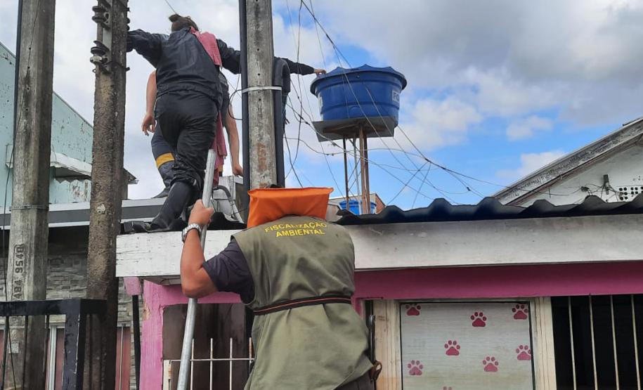 VOLUNTÁRIO EM AÇÃO