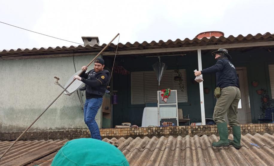 VOLUNTÁRIOS EM AÇÃO