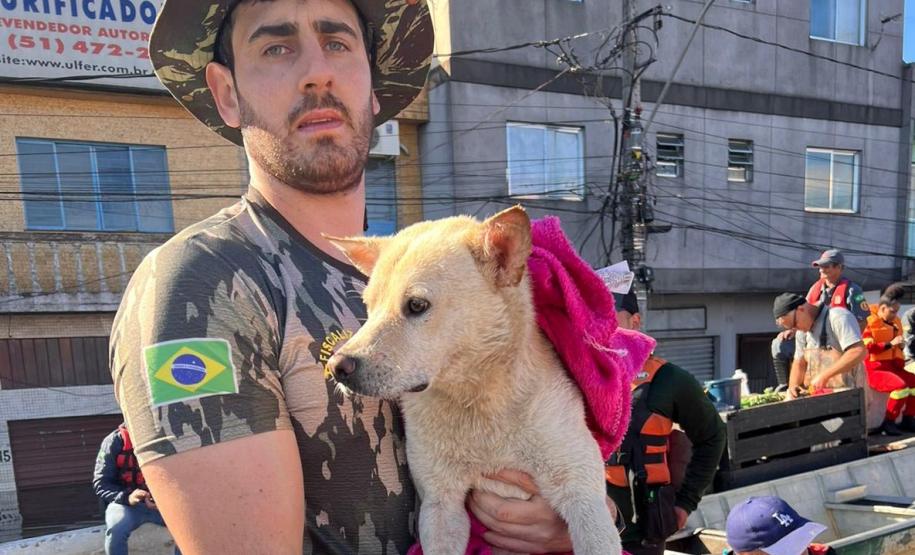 servidor voluntários em ação