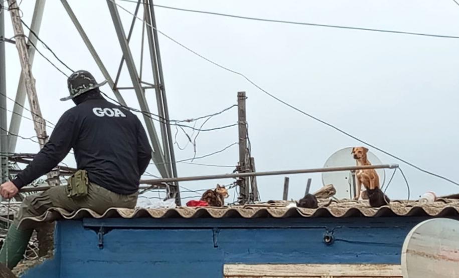 VOLUNTÁRIO EM AÇÃO