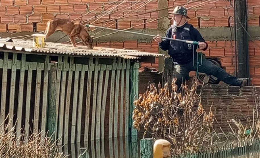 VOLUNTÁRIO EM AÇÃO