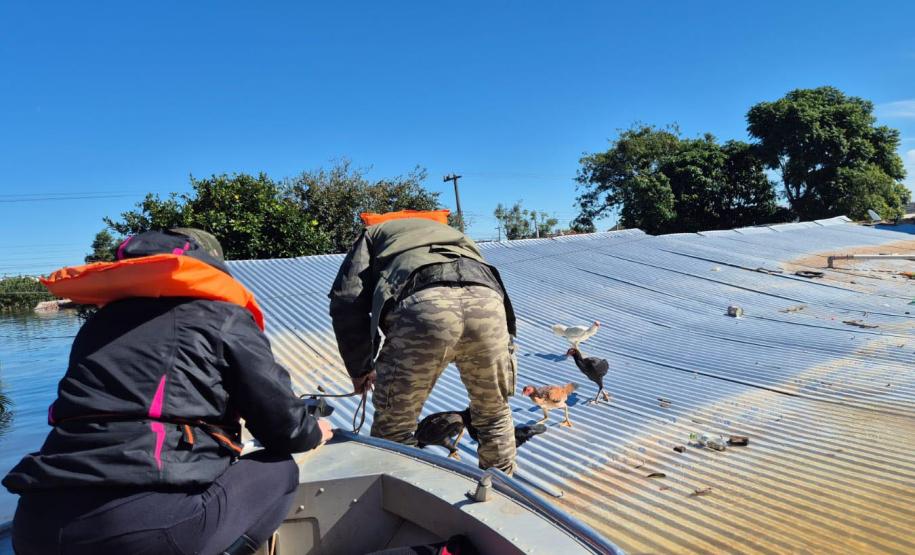 servidores voluntários em ação