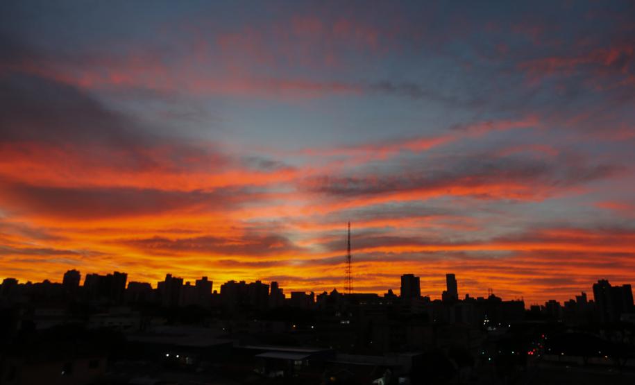 VEGETAÇÃO AO POR DO SOL