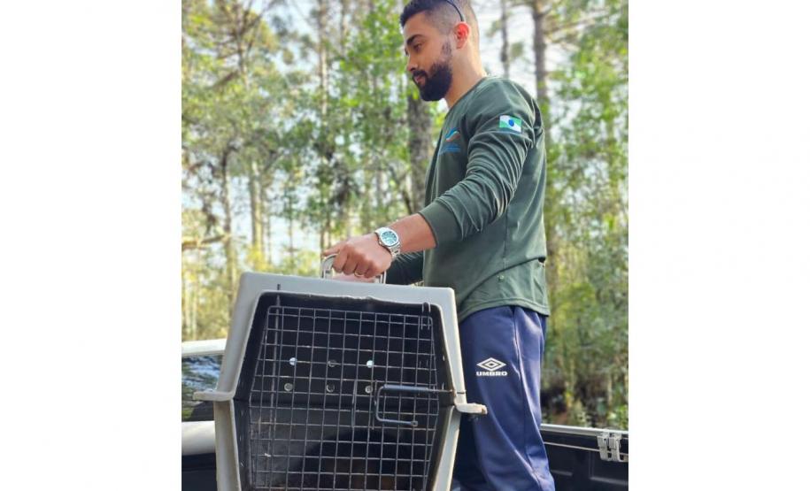 TÉCNICO DO IAT DEVEOLVENDO O ANIMAL À NATUREZA